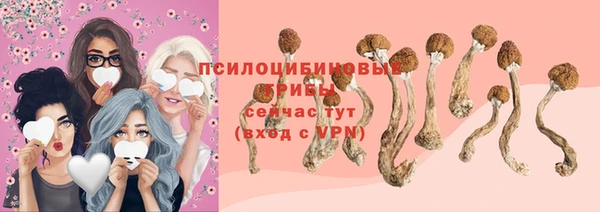 стаф Абаза