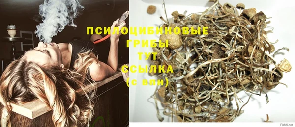 стаф Абаза