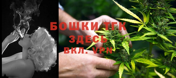 стаф Абаза