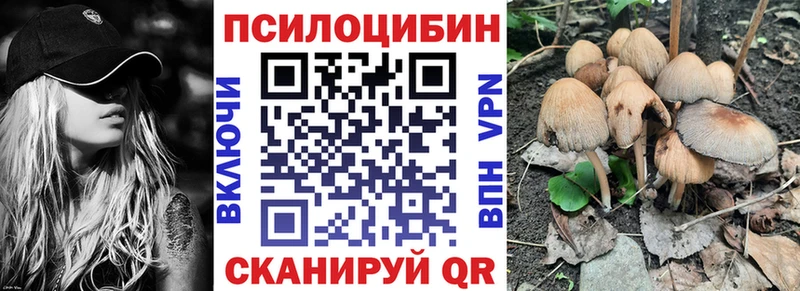 Псилоцибиновые грибы Cubensis  Ханты-Мансийск 